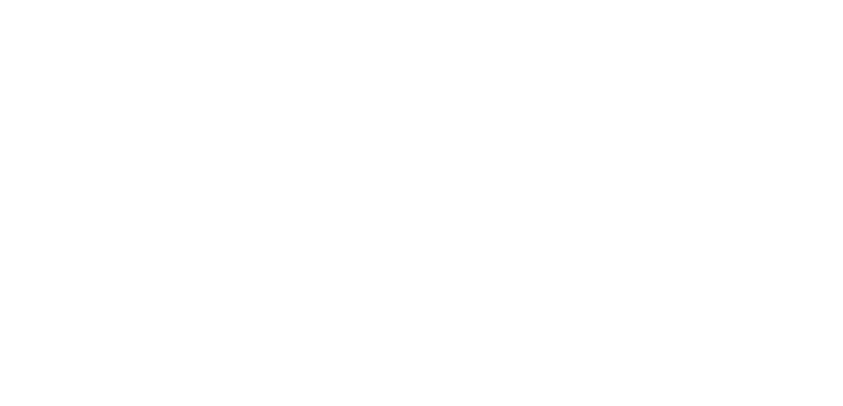 UCB logo blanc