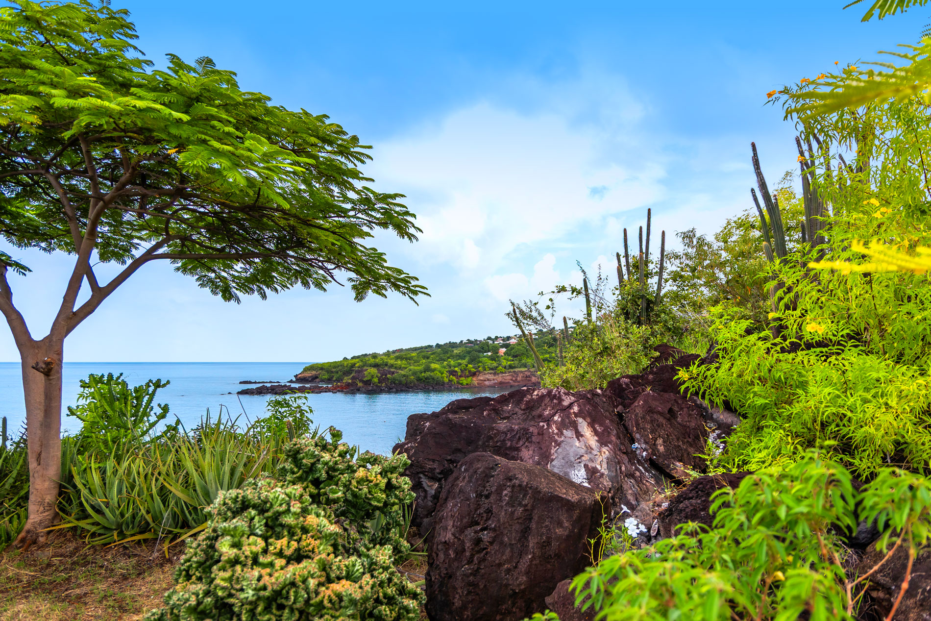 paysage de Bouillante